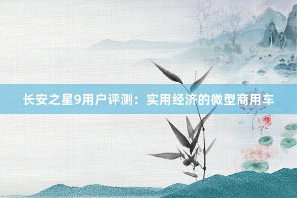 长安之星9用户评测：实用经济的微型商用车